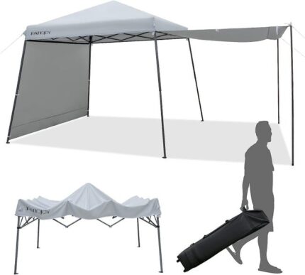 Tente à Auvent Instantané 300 x 300 cm avec Parois Latérale (Gris)