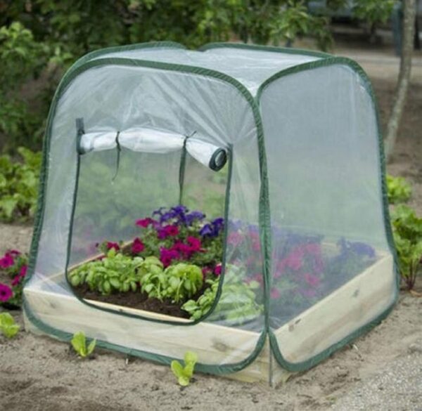 Serre de balcon NATURE pour carré potager Pop-up, l.100 x P.100 x H.100 cm