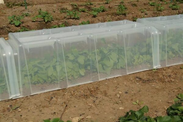 Mini-tunnel de forçage MODUL'O, l39xP.105xH.30 cm