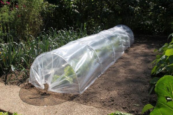 Serre-tunnel NATURE, l.60 x P.300 x H.45 cm