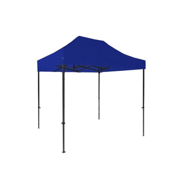 FRANCE BARNUMS | Chapiteau Tonnelle Tente pliante en Acier 30mm | 2x3m Sans murs - Bleu