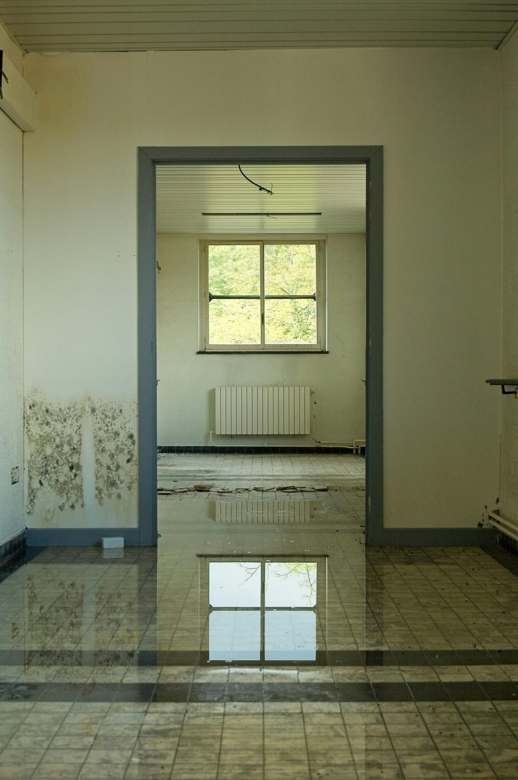 Comment sauver un parquet après infiltration d&rsquo;eau ?