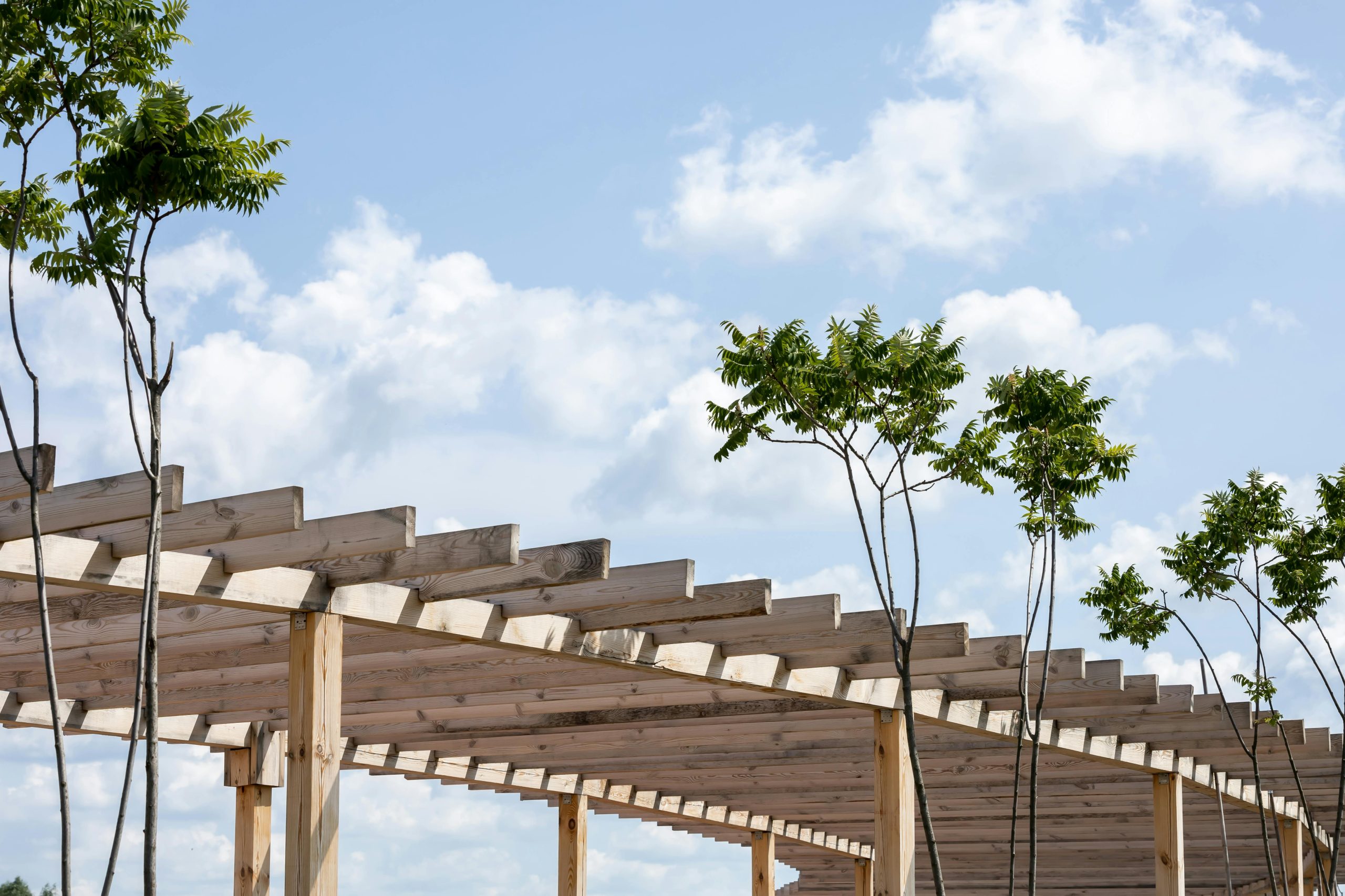 Pergola Menea : quel budget réellement prévoir ?