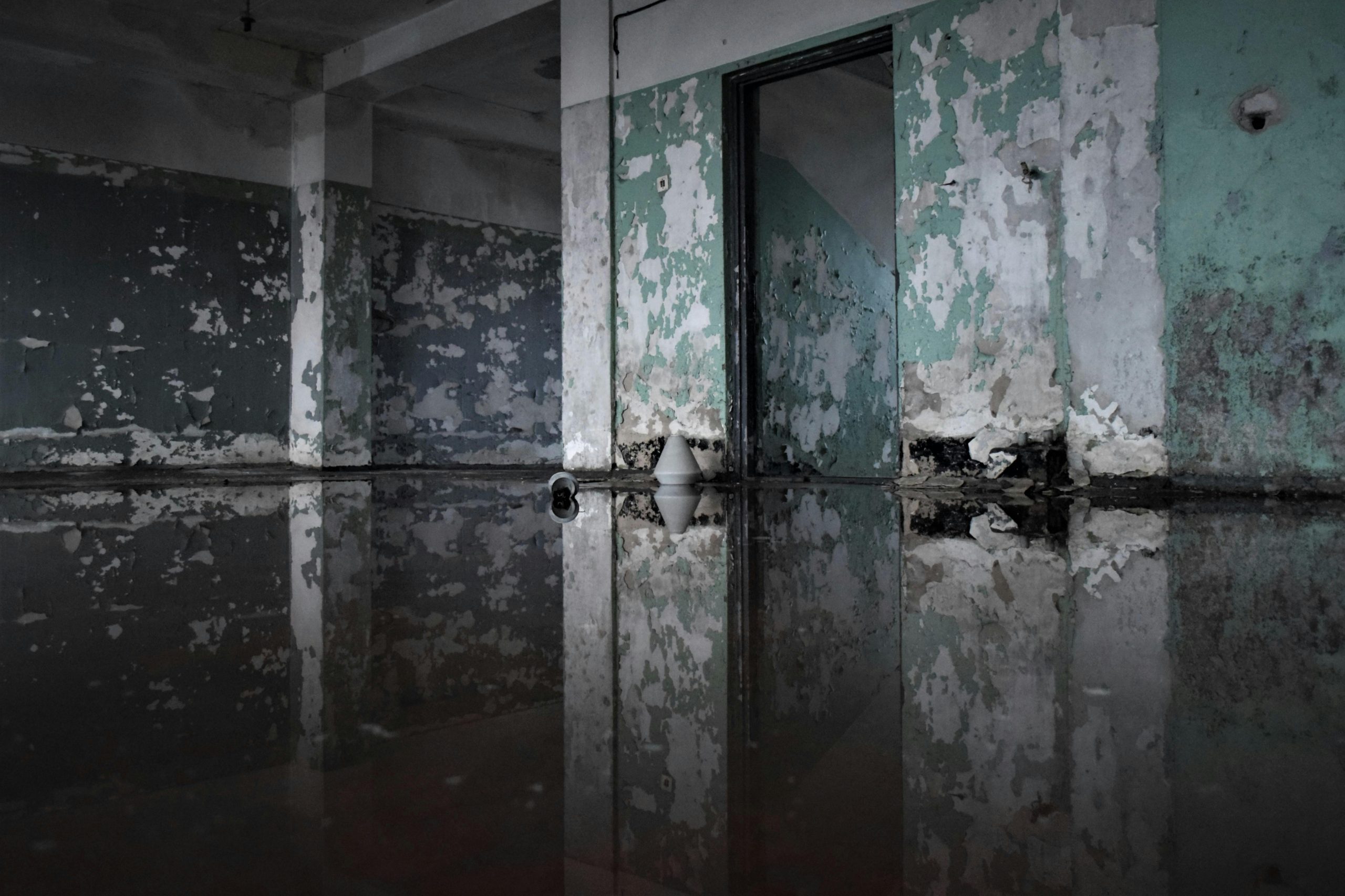 Réparation parquet flottant après infiltration