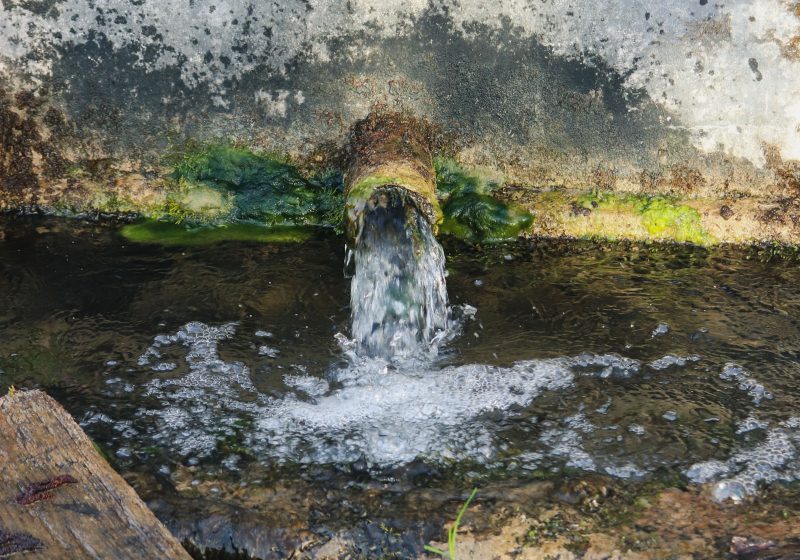 Combien coûte vraiment un bassin béton préfabriqué ?