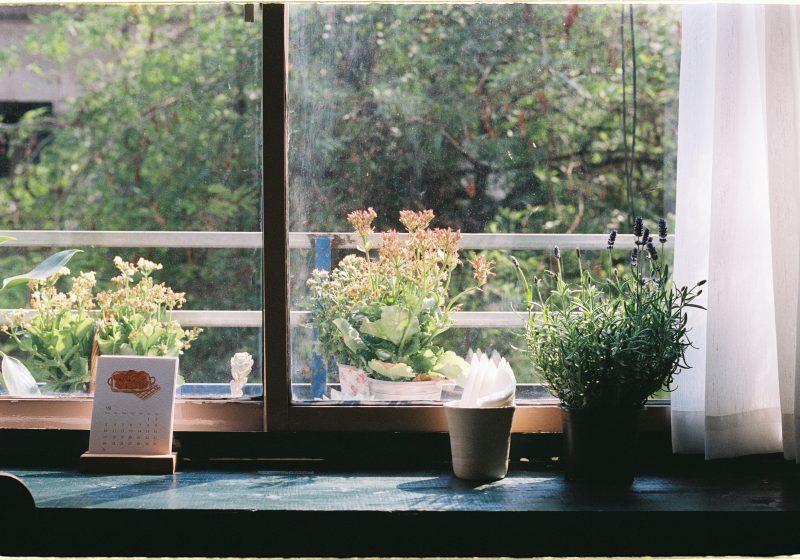Comment organiser ton jardin sans rater une saison ?