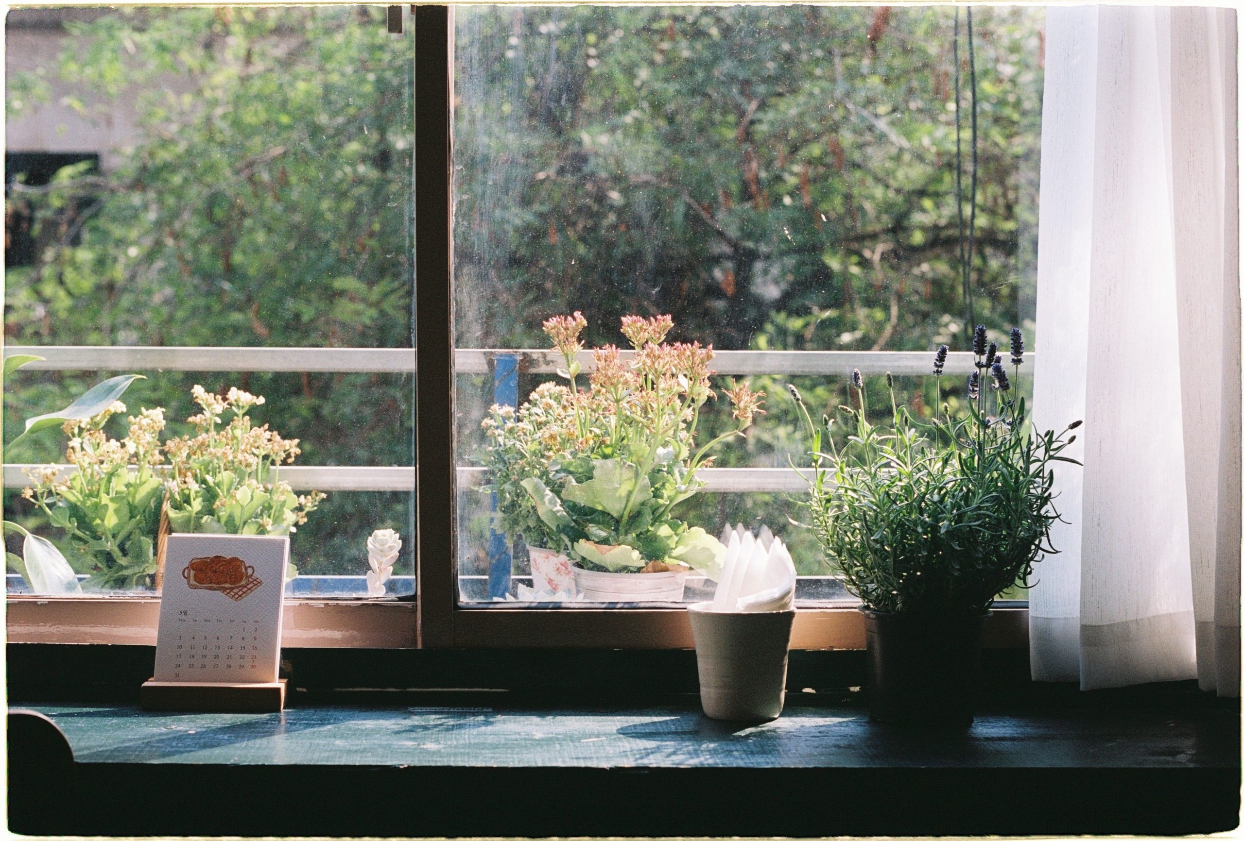 Comment organiser ton jardin sans rater une saison ?